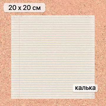 Калька 20х20 см "Школьная жизнь 14", плотность 110 гр/м2 (ScrapMania)