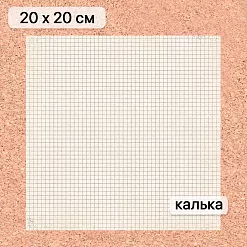 Калька 20х20 см "Школьная жизнь 10", плотность 110 гр/м2 (ScrapMania)
