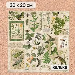 Калька 20х20 см "Заповедник 03", плотность 110 гр/м2 (ScrapMania) Калька 20х20 см "Заповедник 03", плотность 110 гр/м2 (ScrapMania)