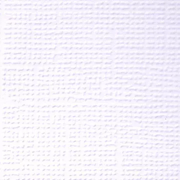 Кардсток "Первый снег" (Mr.Painter)