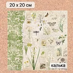 Калька 20х20 см "Заповедник 07", плотность 110 гр/м2 (ScrapMania) Калька 20х20 см "Заповедник 07", плотность 110 гр/м2 (ScrapMania)