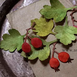 Набор ножей для вырубки "Боярышник" (Scrapfriend) Набор ножей для вырубки "Боярышник" (Scrapfriend)