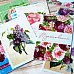 Набор карточек "Летняя феерия", 16 шт (ScrapMania)