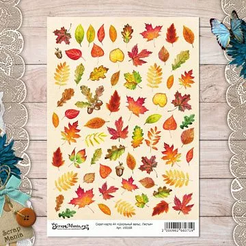 Скрап-карта А4 "Школьный вальс. Листья" (ScrapMania)