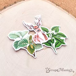 Набор высечек из бумаги "Заповедник 2", 40 шт (ScrapMania)