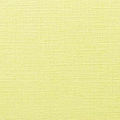 Кардсток с текстурой холста "Ванильный сахар" (Mr.Painter) Кардсток с текстурой холста "Ванильный сахар" (Mr.Painter)