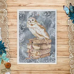 Тканевая карточка "Волшебник. Сова" (ScrapMania)
