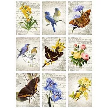 Скрап-карта A4 "Красота природы" (ScrapMania)