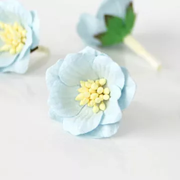 Цветок сенполии "Голубой", 1 шт (Craft)