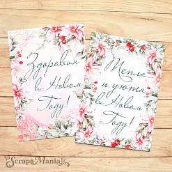 Набор карточек "Зимняя прелесть" (ScrapMania)