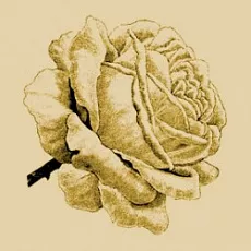 Силиконовые штампы, иностранные