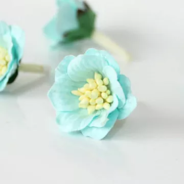 Цветок сенполии "Светло-бирюзовый", 1 шт (Craft)