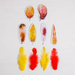 Набор перьев "Осенние краски" (АртУзор) Набор перьев "Осенние краски" (АртУзор)
