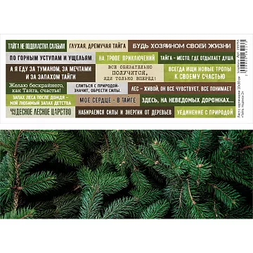 Лист с картинками 10х30 см "Тайга. Надписи 2" (ScrapMania)