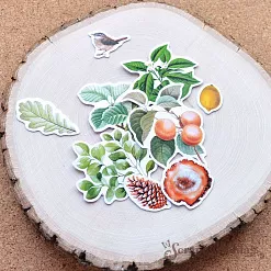 Набор высечек из бумаги "Заповедник 2", 40 шт (ScrapMania)