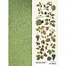Лист с картинками 10х30 см "Ботаника. Ягоды" (ScrapMania)