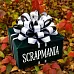 Подарок "Осенний сюрприз. Страшно прекрасный" (ScrapMania)