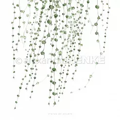 Бумага "String of hearts"