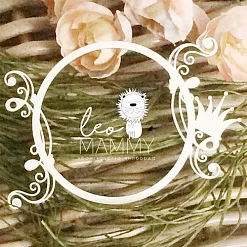 Украшение из чипборда "Рамка круглая с короной" (LeoMammy) Украшение из чипборда "Рамка круглая с короной" (LeoMammy)