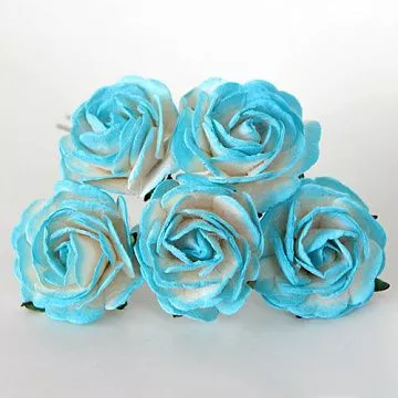 Букет огромных роз "Бирюзовый с белым", 4 см, 5 шт (Craft)