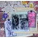 Штамп "Энтомология №1", 10х5,1 см (AgiArt)