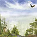 Бумага "Тайга. Хранимая небом" (ScrapMania)