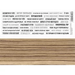Лист с картинками 10х30 см "Тайга. Надписи" (ScrapMania)