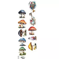 Бумага 6х30 см "Alice 02" (Alchemy of Art)