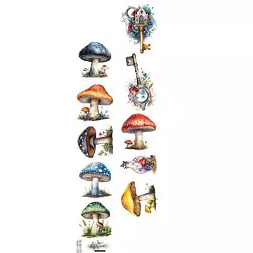 Бумага 6х30 см "Alice 02" (Alchemy of Art)