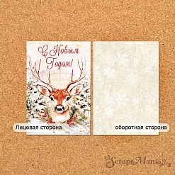 Набор карточек "Сочельник", 7х10 см, 16 шт (ScrapMania)