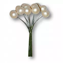 Букет веточек "Белый жемчуг", 12 шт (Stamperia) Букет веточек "Белый жемчуг", 12 шт (Stamperia)