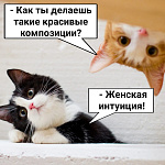 Скрапбукинг для начинающих. Скрапь с юмором. Женская интуиция.